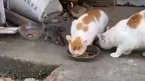 惹不起